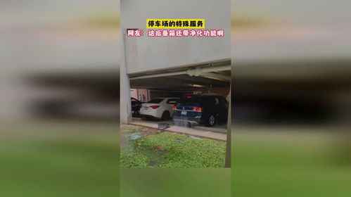 后備箱的秘密 揭秘停車場的“特殊服務”與空氣凈化新趨勢